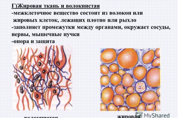 Omg onion не работает